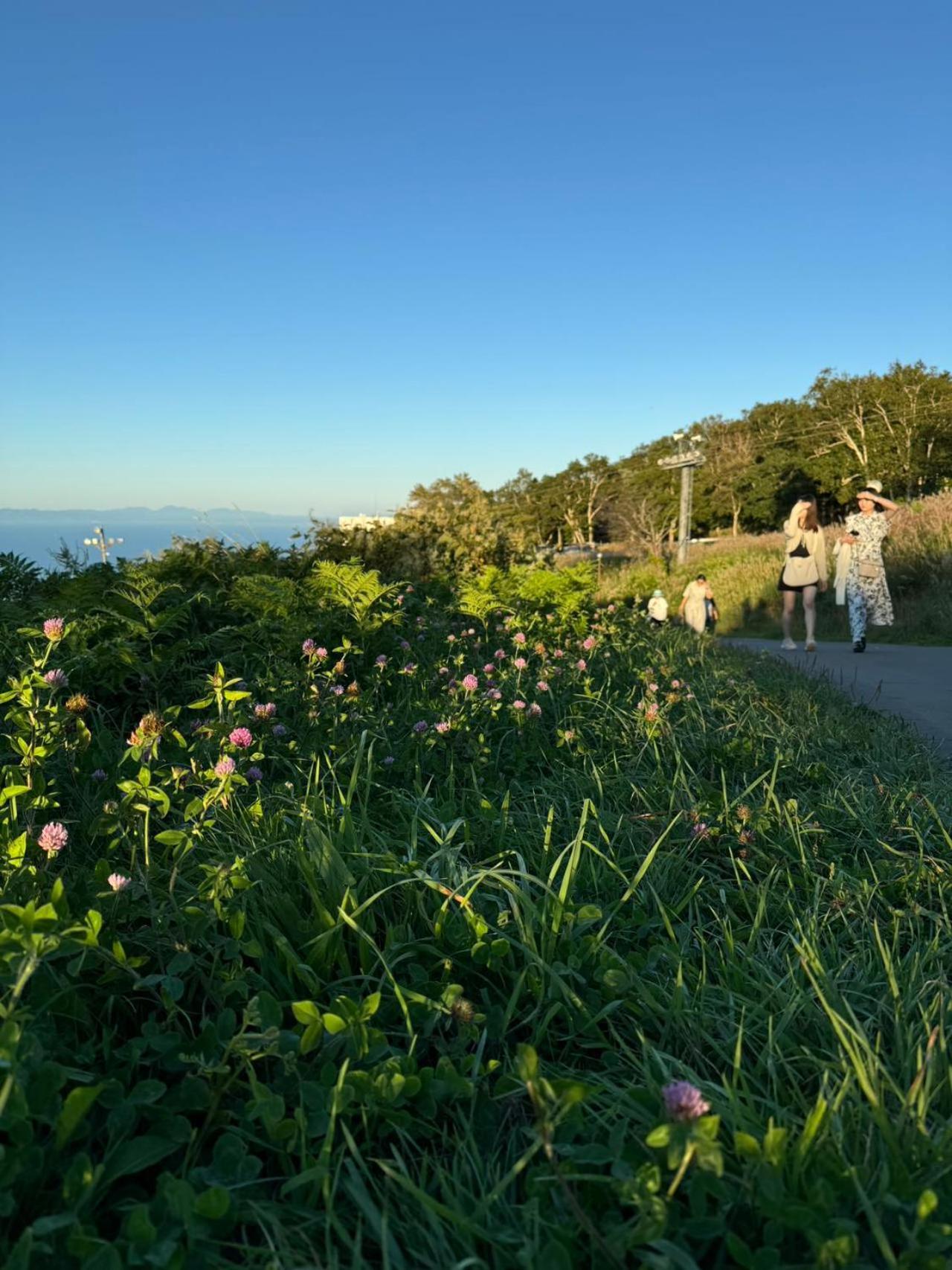 Otaru Garden Stay エクステリア 写真